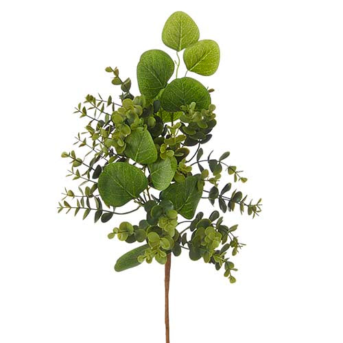 Boxwood & Eucalyptus Pick -18