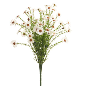 White Daisy Bush -15"