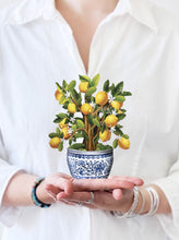 Load image into Gallery viewer, Flower Bouquet Card -Lemon Blossom Tree
