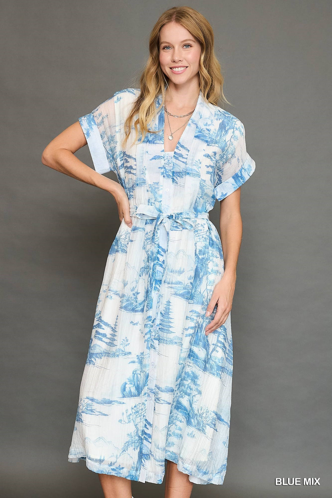 U Blue Toile Print Midi Dress