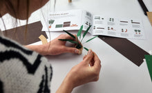 Load image into Gallery viewer, Paper Plants
