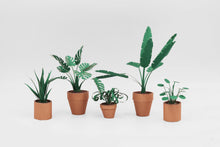 Load image into Gallery viewer, Paper Plants
