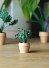 Load image into Gallery viewer, Paper Plants
