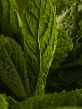 Load image into Gallery viewer, Chamomile Mint Pura Smart Vial
