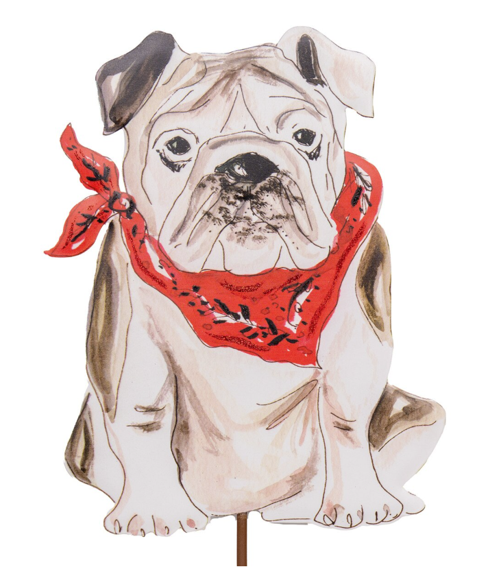 Red Bandana Bulldog Stake