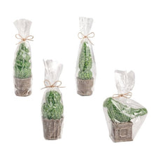 Load image into Gallery viewer, Topiary Candle
