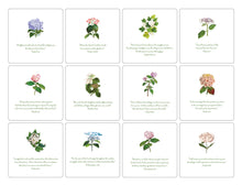 Load image into Gallery viewer, Oversized Verse Cards &amp; Easel -Hydrangea
