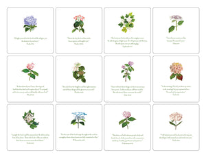 Oversized Verse Cards & Easel -Hydrangea