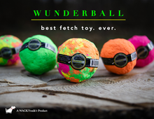 Load image into Gallery viewer, Wunderball Best Fetch Toy
