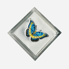 Load image into Gallery viewer, MH Acrylic Napkin Weight -Butterfly Blues
