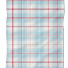 Load image into Gallery viewer, All-American Dachshunds Kitchen Towel
