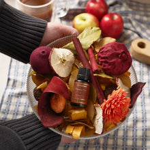 Load image into Gallery viewer, Cinnamon Cider Decorative Fragrance
