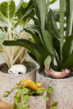 Load image into Gallery viewer, Plant Sticks -Curious Cats
