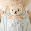 Alexander the honey bear