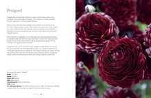 Load image into Gallery viewer, Ranunculus: Beautiful Varieties For Home and Garden

