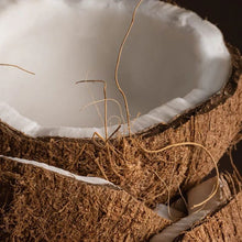 Load image into Gallery viewer, Coconut Calm Pura Car Refill
