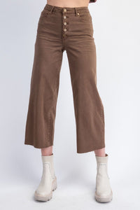 Easel Button Front Stretch Twill Pants -Coffee Brown