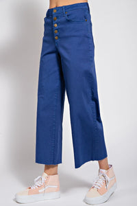 Easel Button Front Stretch Twill Pants -Blue