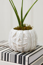 Load image into Gallery viewer, Glazed Pumpkin Pot
