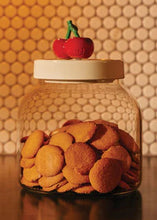 Load image into Gallery viewer, nora fleming pinstripe canister -super
