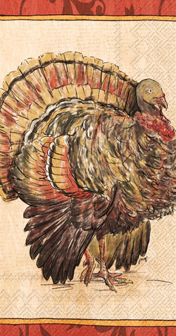 Guest Towels -Painterly Turkey