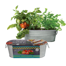 Load image into Gallery viewer, Windowsill Grow Kit -Taco Night
