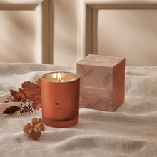 Load image into Gallery viewer, Thymes Pumpkin Laurel Candle
