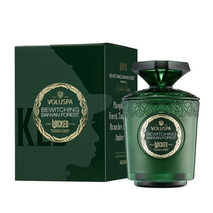Bewitching Banyan Forest Boxed 8.5oz Candle