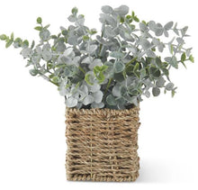 Load image into Gallery viewer, K&amp;K Eucalyptus in Woven Baskets
