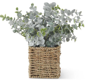 K&K Eucalyptus in Woven Baskets