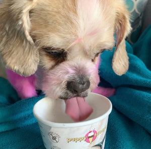 Puppy Scoops Ice Cream Mixes