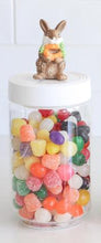 Load image into Gallery viewer, nora fleming pinstripe canister -large
