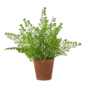 Potted Fern -13"