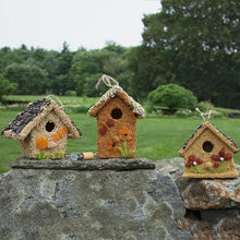 Load image into Gallery viewer, Mr Bird Spring Fruit Cottage
