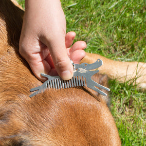 Dog Friendly Tick Tool
