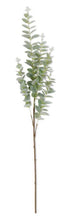 Load image into Gallery viewer, K&amp;K 36&quot; Light Green Gunnii Eucalyptus Stem
