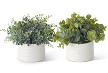 Load image into Gallery viewer, K&amp;K Eucalyptus in Ribbed White Ceramic Vases
