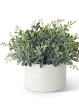 Load image into Gallery viewer, K&amp;K Eucalyptus in Ribbed White Ceramic Vases

