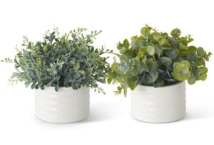 K&K Eucalyptus in Ribbed White Ceramic Vases