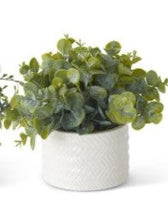 Load image into Gallery viewer, K&amp;K Eucalyptus in Ribbed White Ceramic Vases
