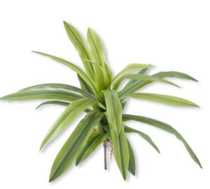 K&K 24" Real Touch Agave Foliage Spray