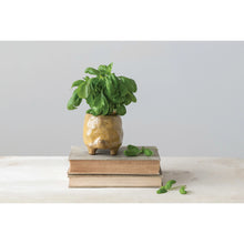Load image into Gallery viewer, Stoneware Turtle Planter
