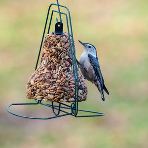 Mr Bird Seed Bell Hanger