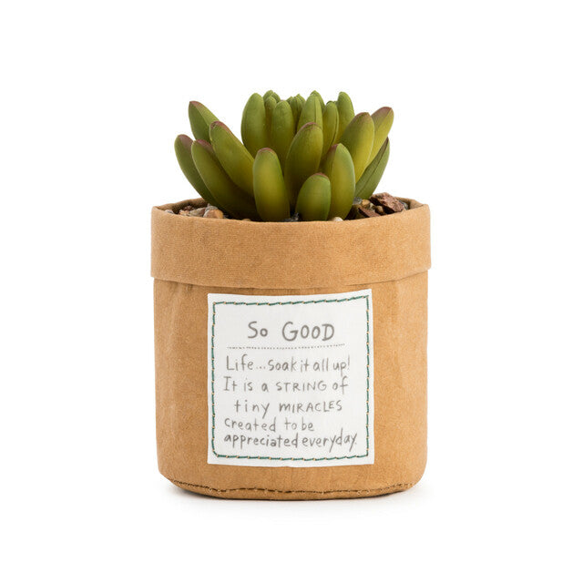 Plant Kindness -So Good
