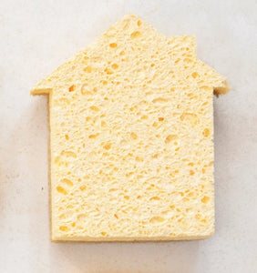 House Kitchen Sponge